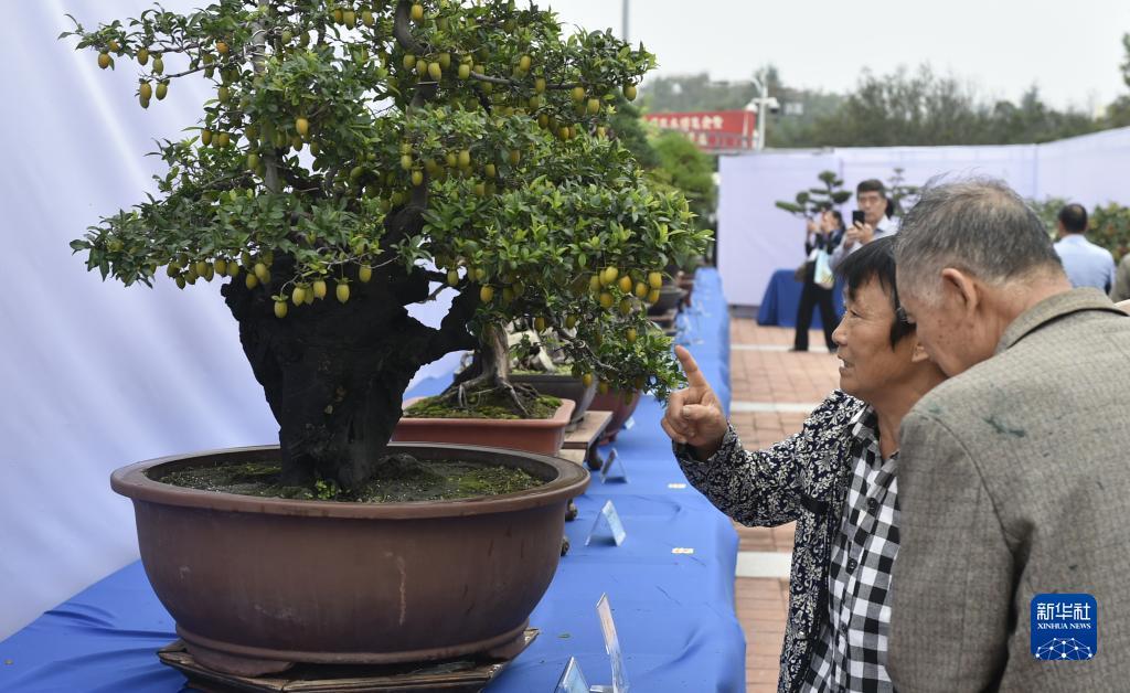 迎新跳槽网投彩金网